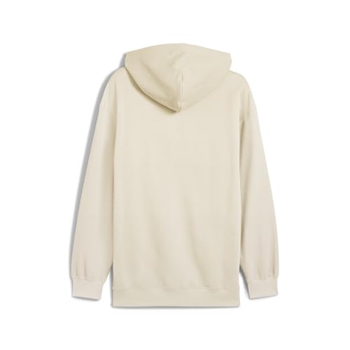 PUMA Men's Class Relaxed Pinnacle Hoodie Fl Hoodies (pack of 1)
