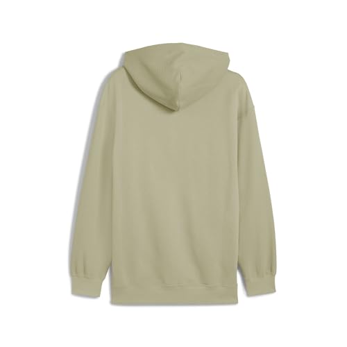 PUMA Men's Class Relaxed Pinnacle Hoodie Fl Hoodies (pack of 1)