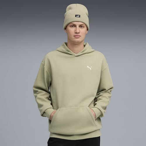 PUMA Men's Class Relaxed Pinnacle Hoodie Fl Hoodies (pack of 1)