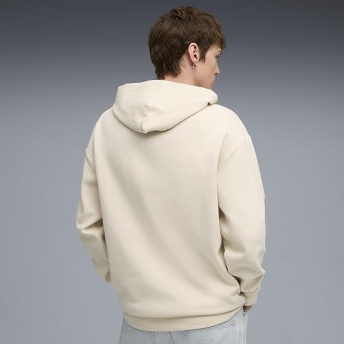 PUMA Men's Class Relaxed Pinnacle Hoodie Fl Hoodies (pack of 1)