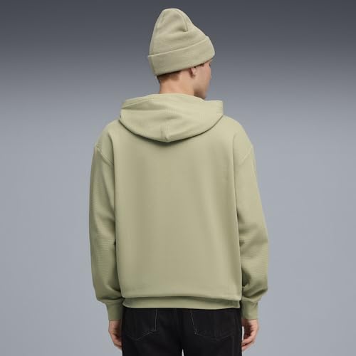 PUMA Men's Class Relaxed Pinnacle Hoodie Fl Hoodies (pack of 1)