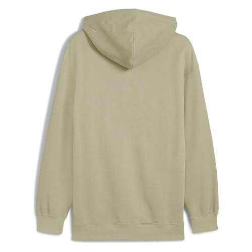 PUMA Men's Class Relaxed Pinnacle Hoodie Fl Hoodies (pack of 1)