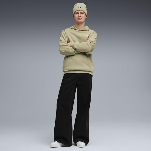 PUMA Men's Class Relaxed Pinnacle Hoodie Fl Hoodies (pack of 1)