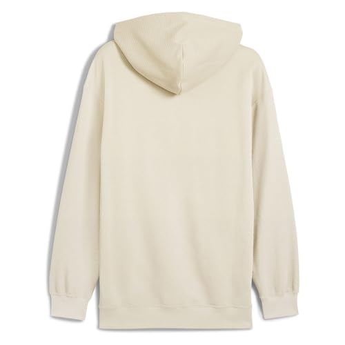 PUMA Men's Class Relaxed Pinnacle Hoodie Fl Hoodies (pack of 1)