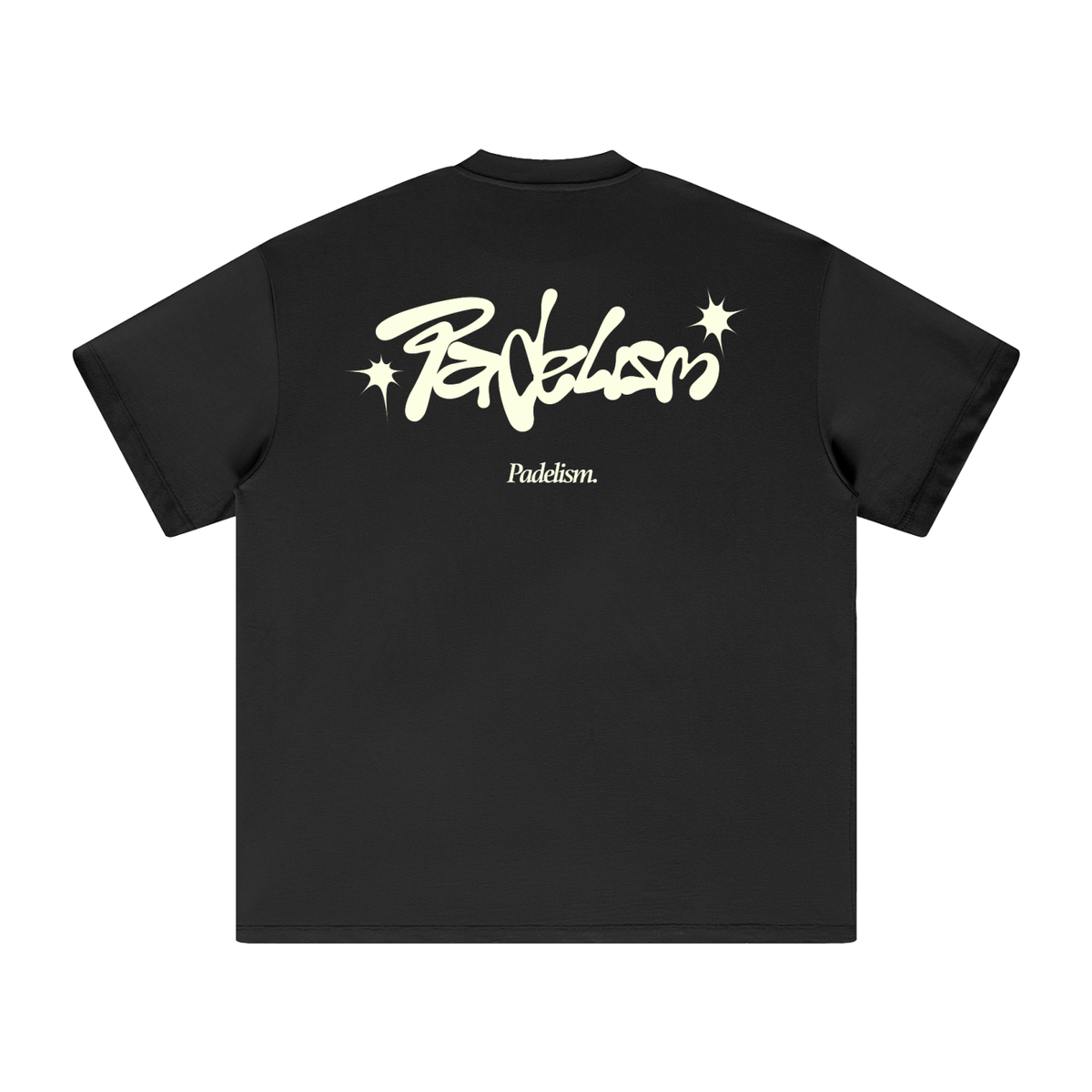 Black heavyweight T-shirt with large back graphic and star logo