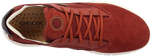 Geox Men's U Nebula B Sneakers