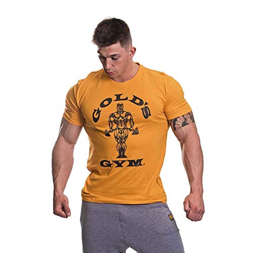 Gold's Gym GGTS002 Men's Muscle Joe Premium Fitness Workout T-Shirt