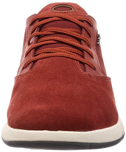 Geox Men's U Nebula B Sneakers