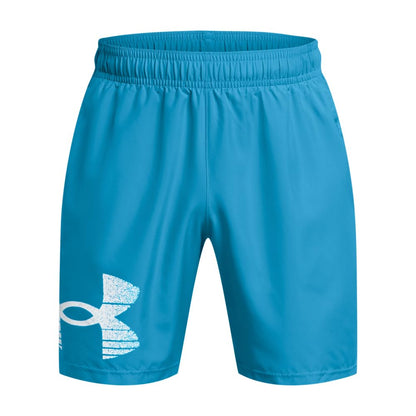 Under Armour Herren Shorts