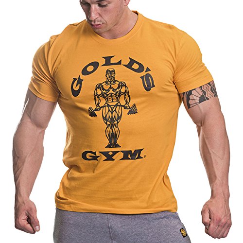 Gold's Gym GGTS002 Men's Muscle Joe Premium Fitness Workout T-Shirt