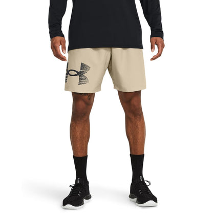 Under Armour Herren Shorts