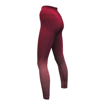 GYMSHARK Adapt Ombre Seamless Full Length Leggings