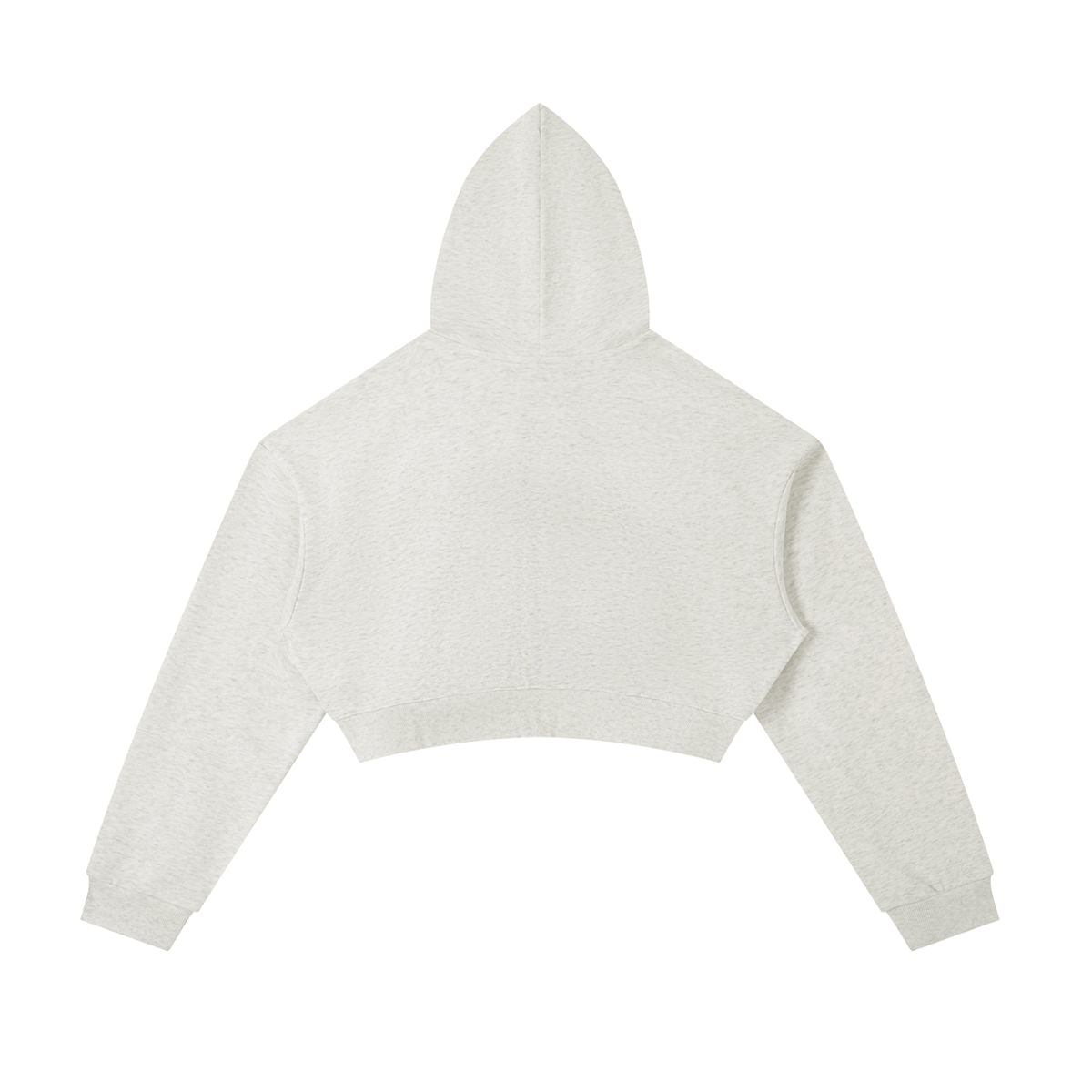 Back view of light gray cropped zip hoodie with hood and drawstring