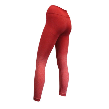 GYMSHARK Adapt Ombre Seamless Full Length Leggings