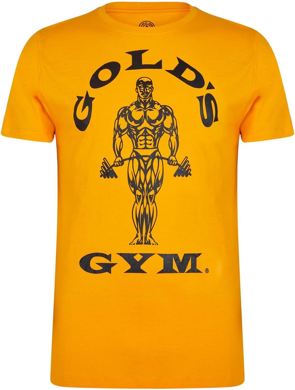 Gold's Gym Men's Joe Premium Workout T-Shirt