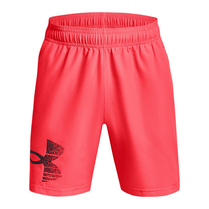 Under Armour Herren Shorts
