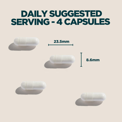 Myprotein Impact Creatine Monohydrate Powder