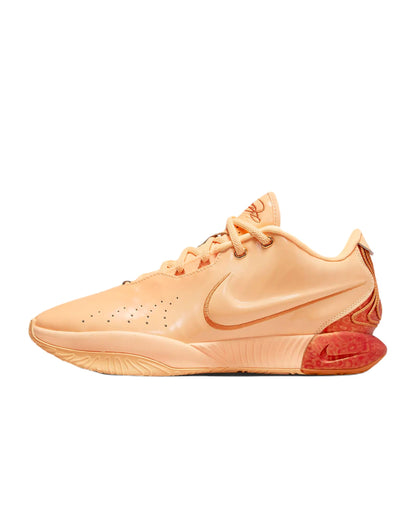 Nike Men's Lebron XXI Shoes