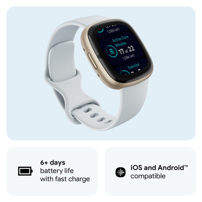 Google Fitbit Sense 2