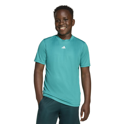 adidas Train Essentials Logo Regular Fit T-Shirt Kids