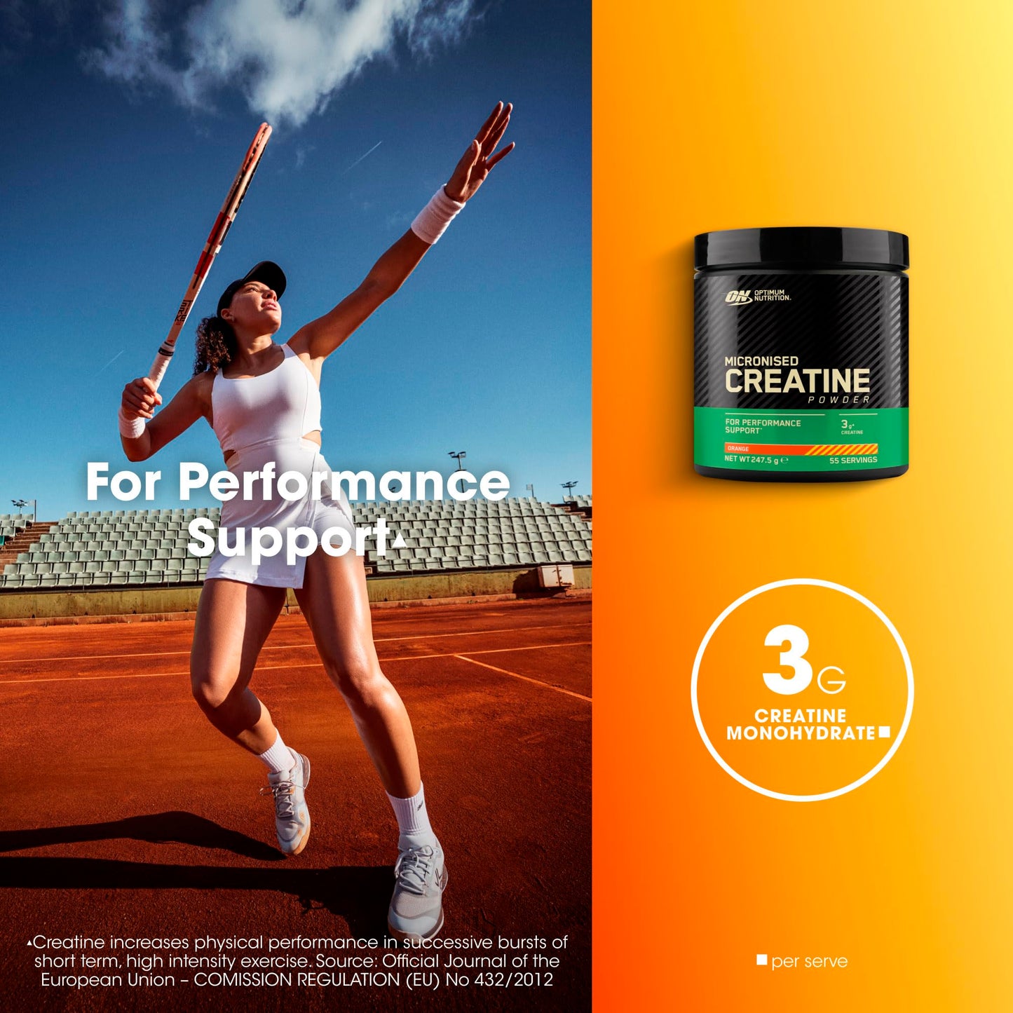 Optimum Nutrition Micronised Creatine Powder