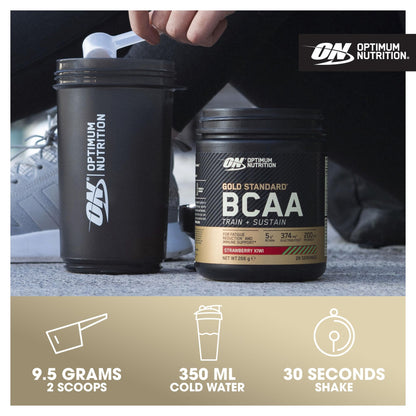 Optimum Nutrition Gold Standard BCAA