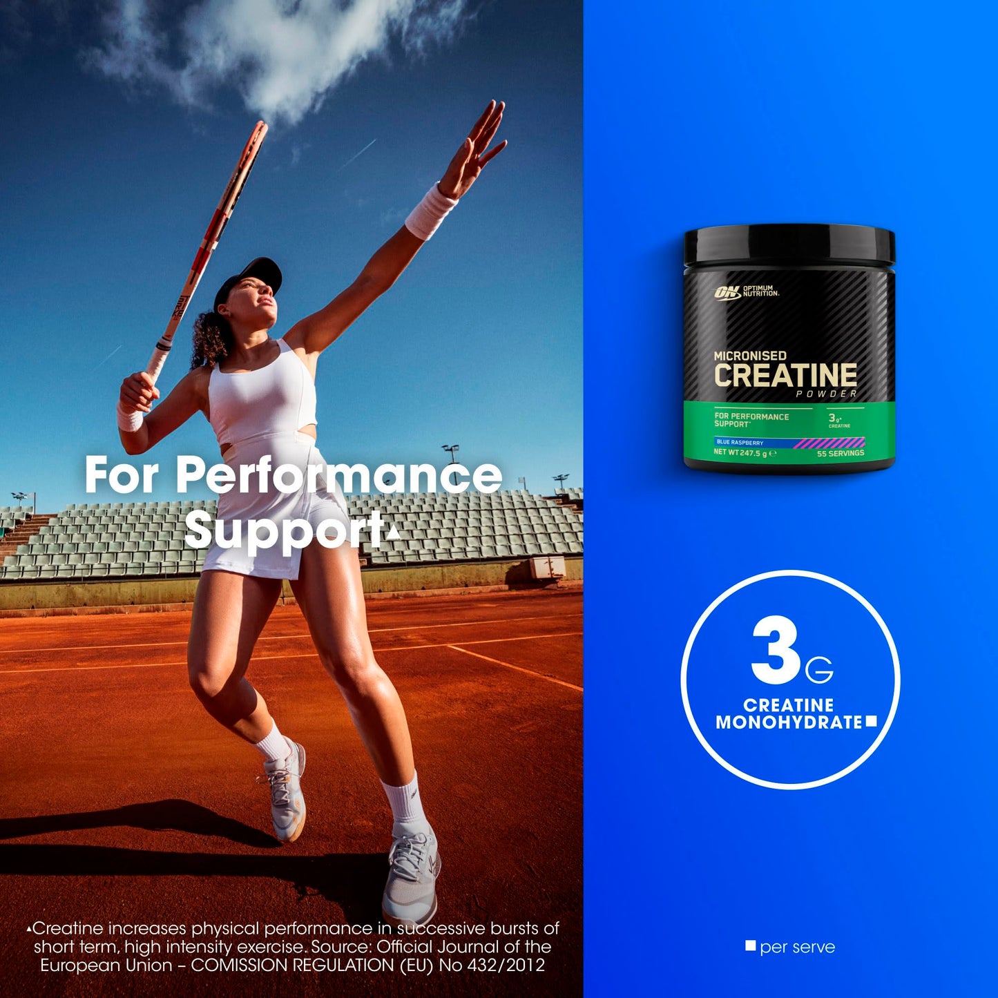 Optimum Nutrition Micronised Creatine Powder