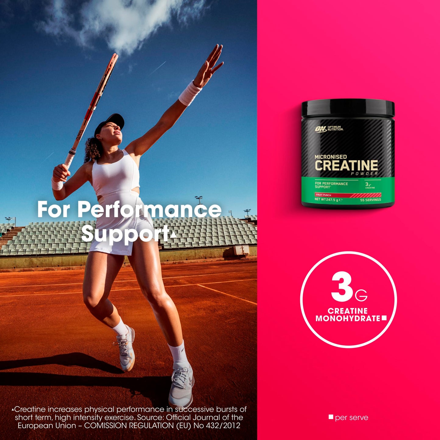 Optimum Nutrition Micronised Creatine Powder