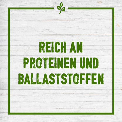 Nature Valley Protein Peanut & Chocolate Gluten Free Cereal Bars 26 x 40g