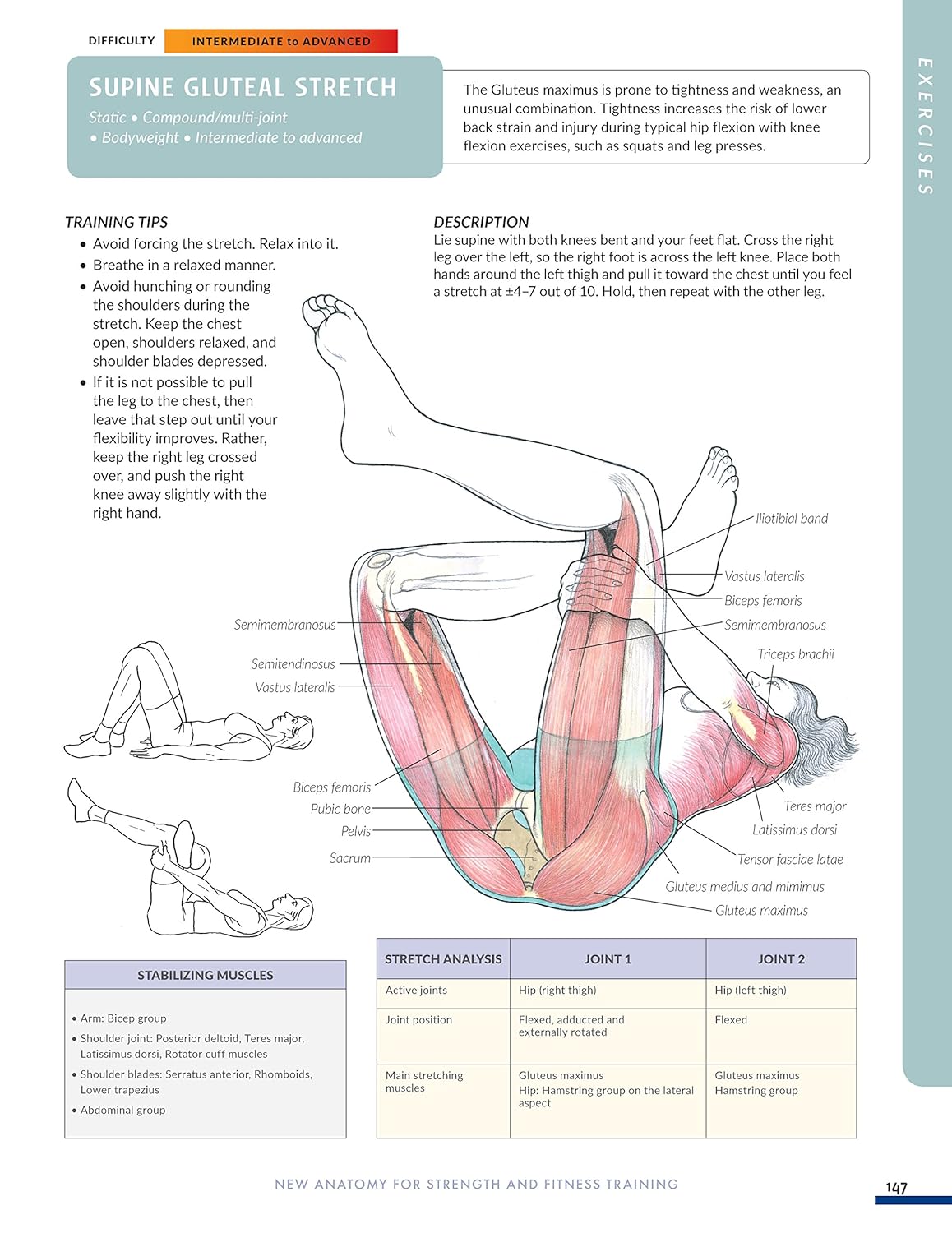 New Anatomy for Strength & Fitness Training: An Illustrated Guide to Your Muscles in Action Including Exercises Used in CrossFit (R), P90X (R), and Other Popular Fitness Programs (IMM Lifestyle Books)