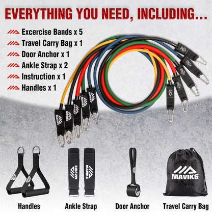 Exercise Bands Resistance Bands for Working Out, Set of 5 Bands