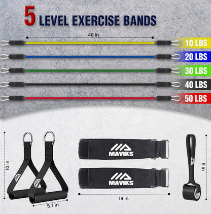 Exercise Bands Resistance Bands for Working Out, Set of 5 Bands