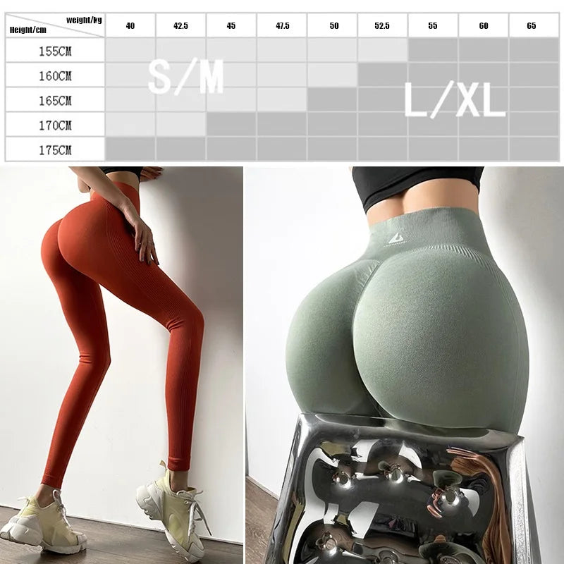 Cloud Hide Women Seamless Yoga Pants Push Up High Waist