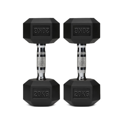 Rubber-coated hex dumbbell pair, black, 20 kg each, knurled handles with engraved mark.