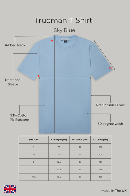 Trueman Regular Fit T-Shirt - Sky Blue