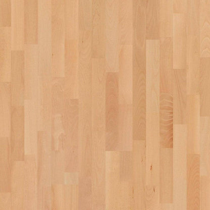 Basketball Court Flooring - Boen Boflex Stadium