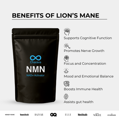 Lion's Mane Powder - 60 Grams - 30 Servings